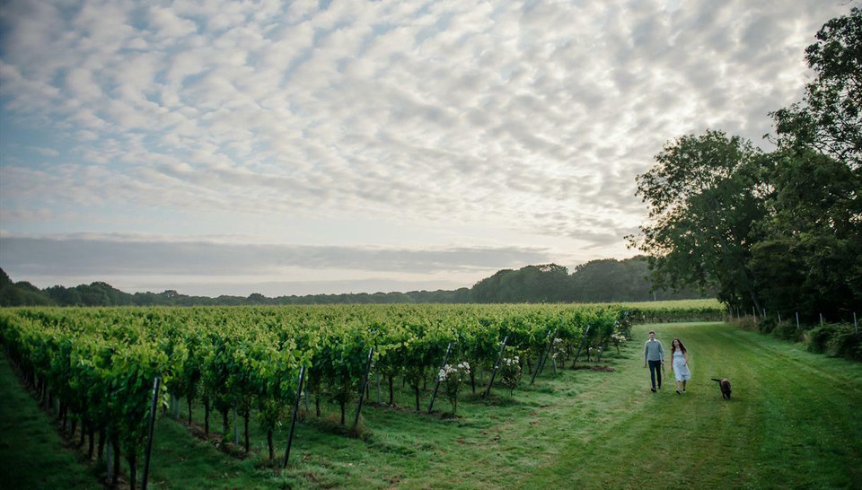 Gusbourne