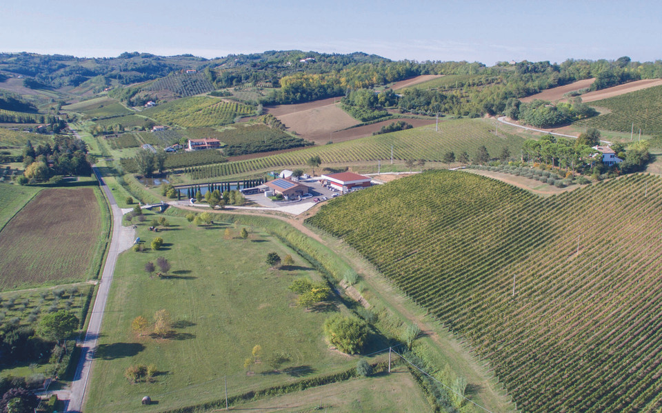 Montaia