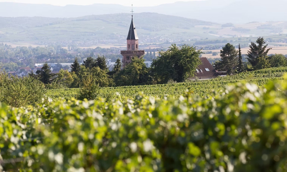 Domaine Hubert Reyser