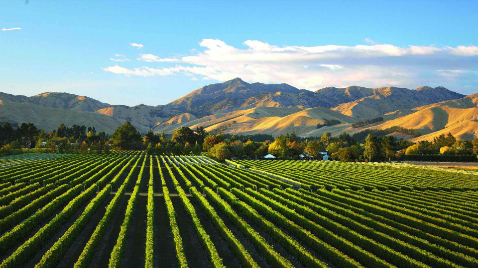 New Zealand