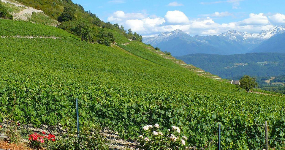 Savoie