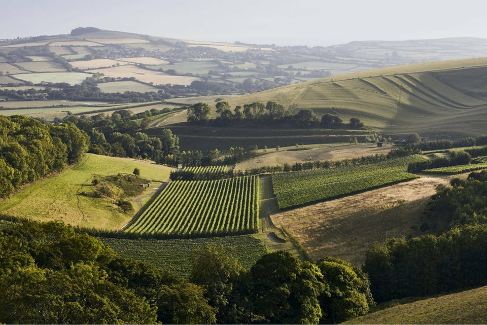 Dorset