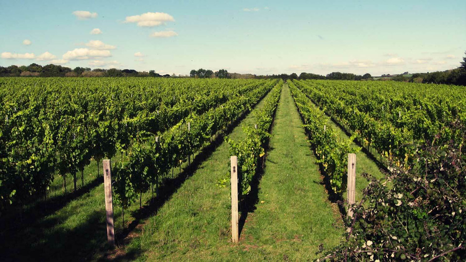 Langham Wine Estate