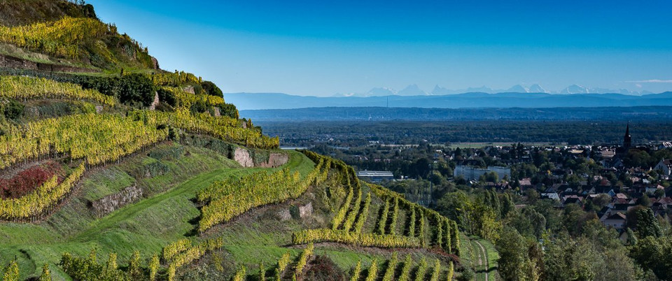 Alsace