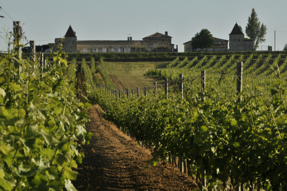 Vignobles Ducourt