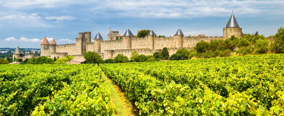 Les Vignobles Foncalieu