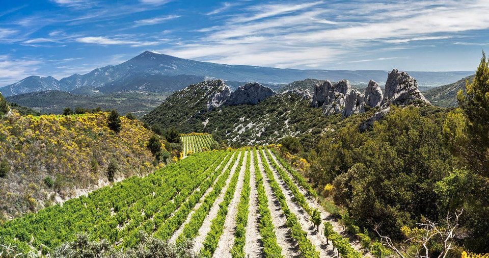 Rhône Valley