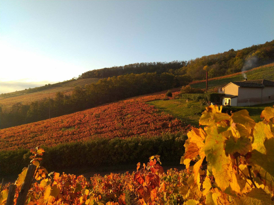 Clos du Vieux Bourg