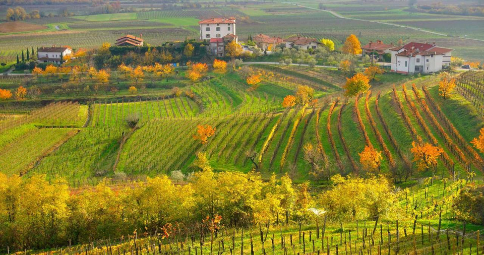 Friuli-Venezie