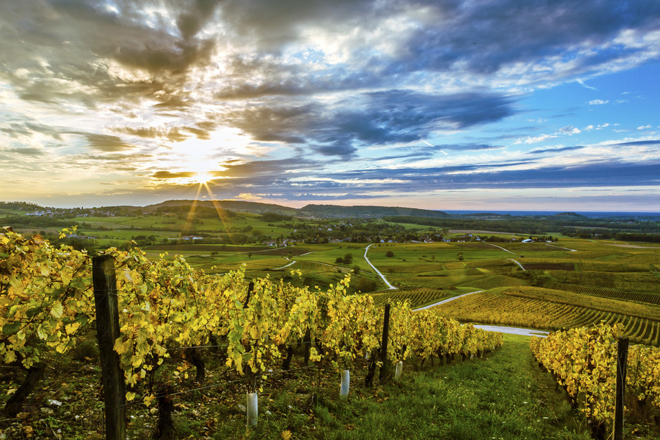 Domaine de Sainte Marie