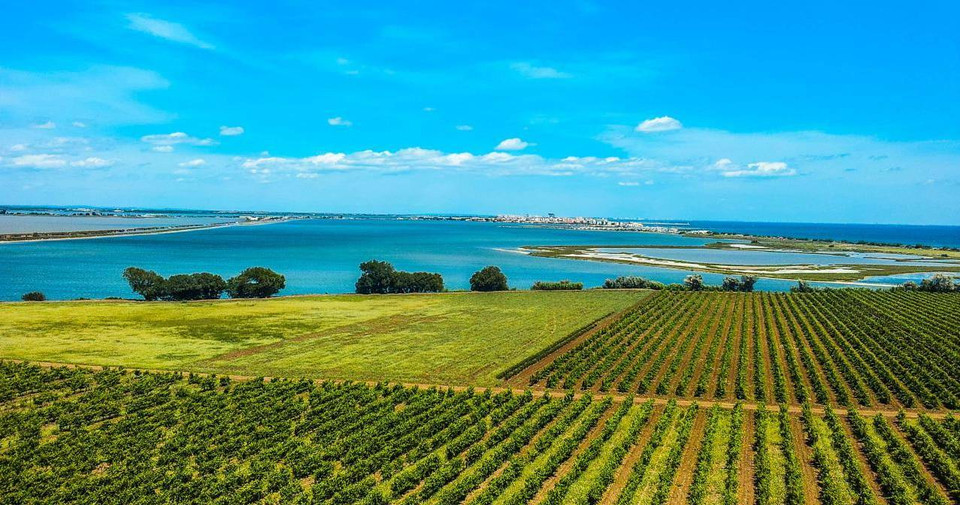 Languedoc-Roussillon