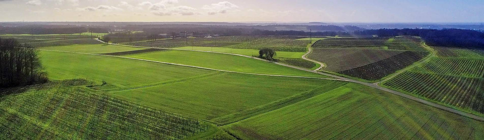 Vignoble Vadé