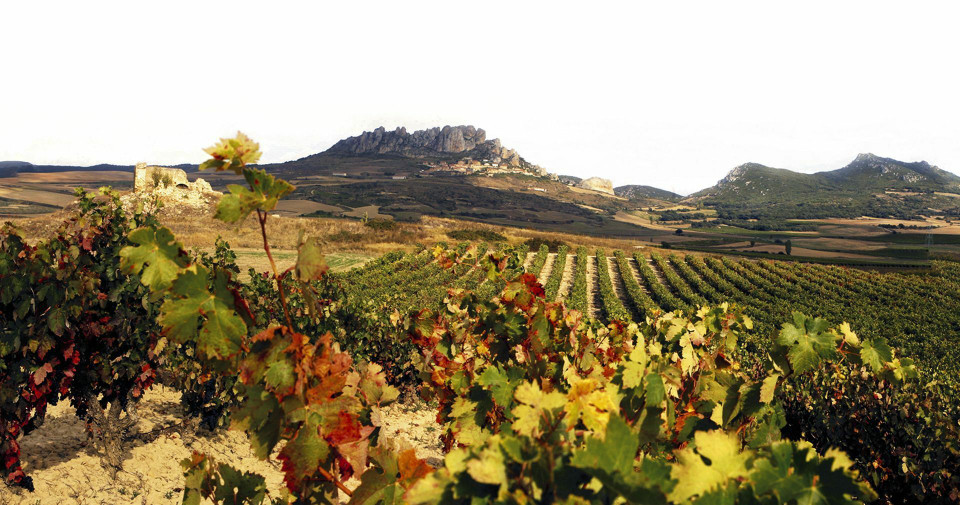Bodegas Tarón