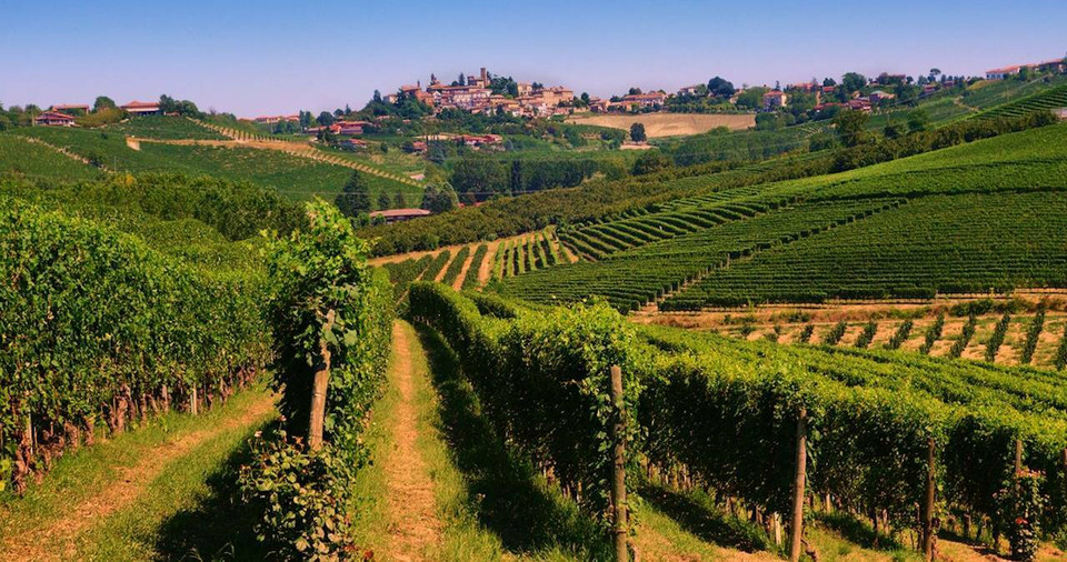 Piedmont