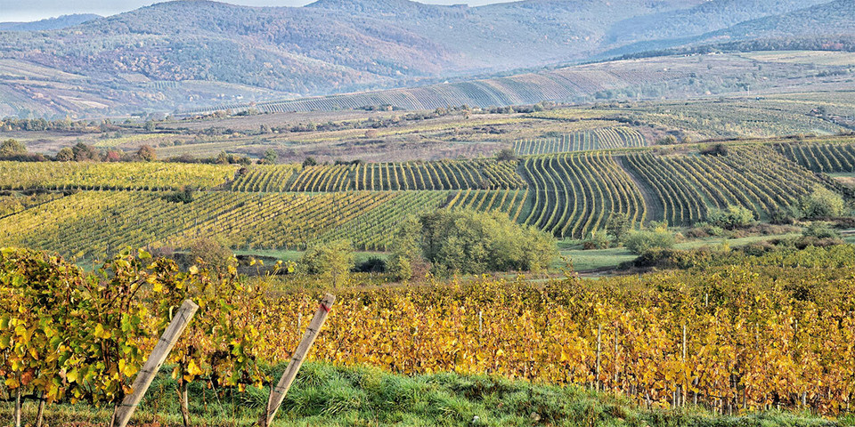Hungary