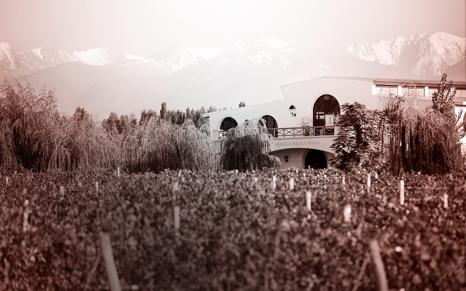 Bodega Piedra Negra