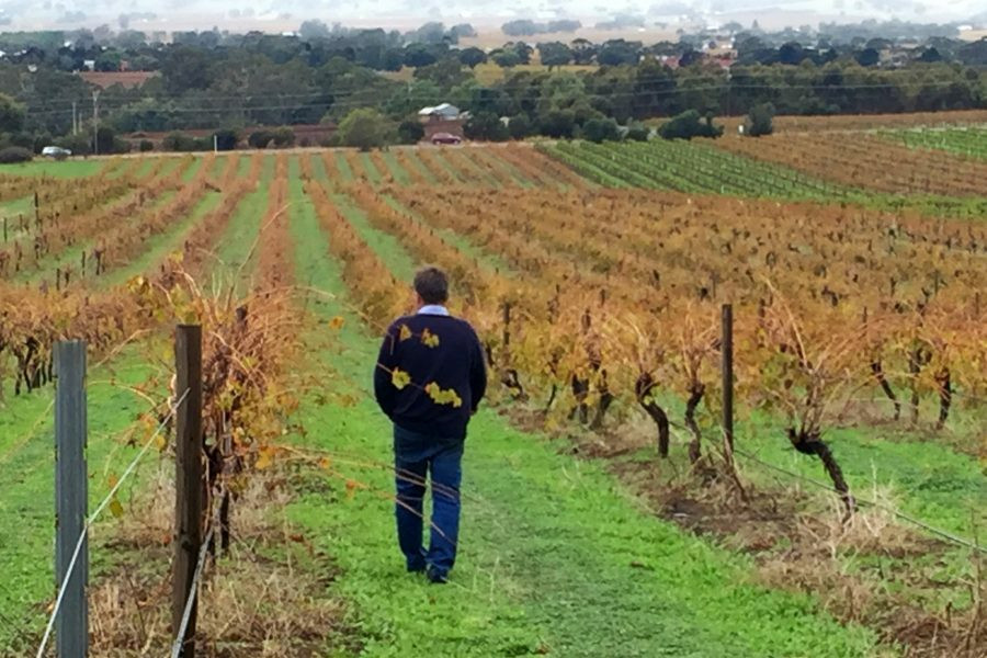 Smalltown Vineyards