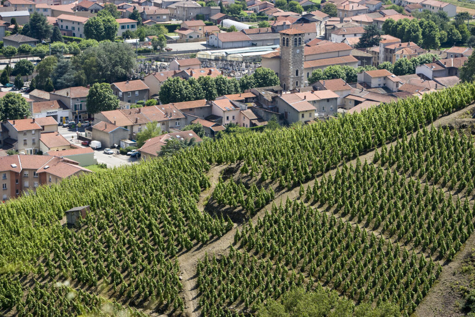 Domaine Stéphane Ogier