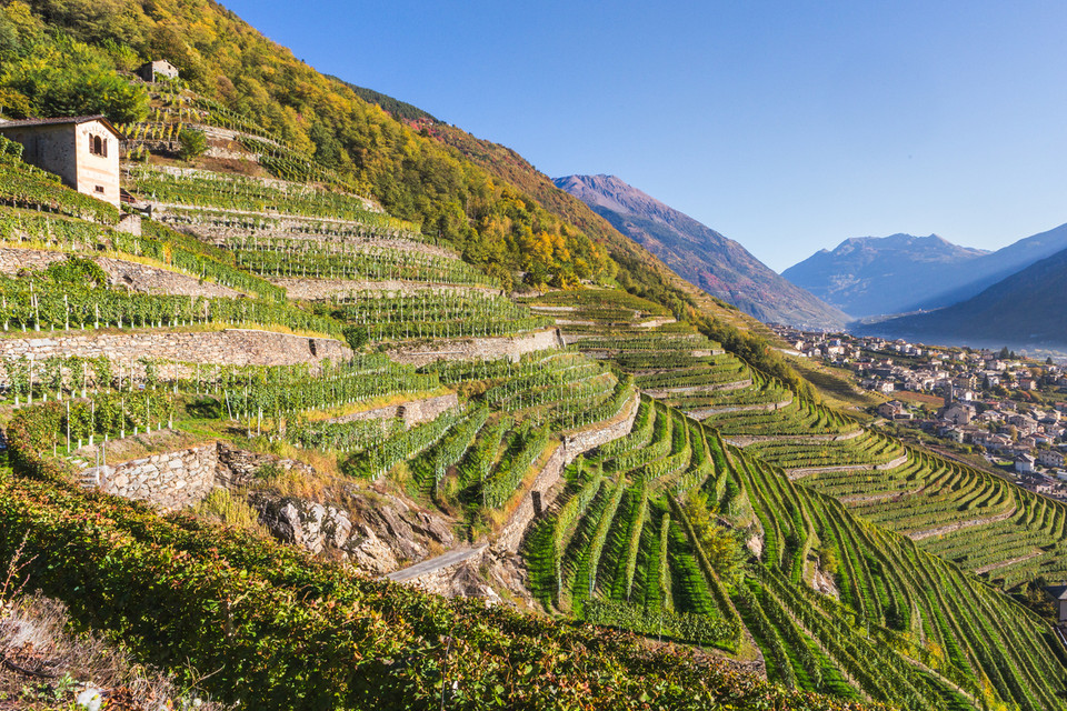Lombardy
