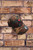 heART HATS