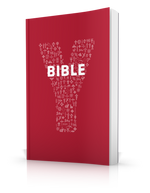 YOUCAT Bible