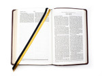 Bible - Red Bonded Leather