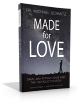 Made for Love: Same-Sex Attractions and the Catholic Church (Paperbook)