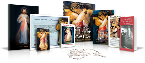 Consoling the Heart of Jesus - Participant Packet + Book