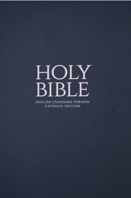 Bible - Blue Paperback