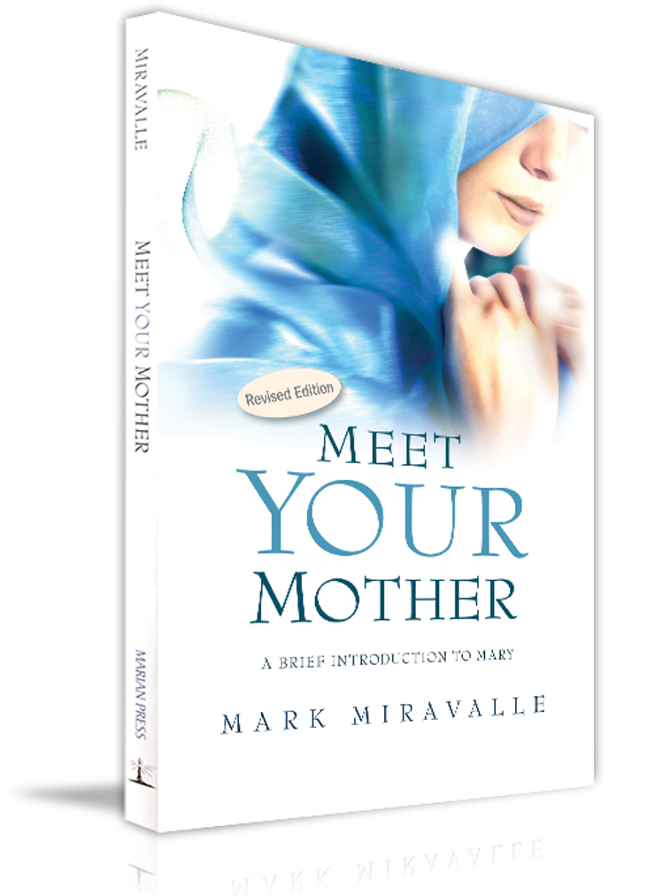 Meet Your Mother (Paperbook)