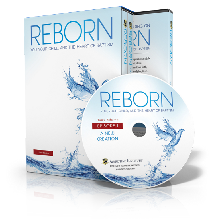 Reborn (Home Edition) - DVD Set