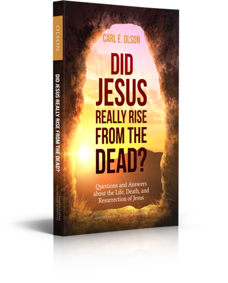 Did Jesus Really Rise From the Dead? (Paperback)