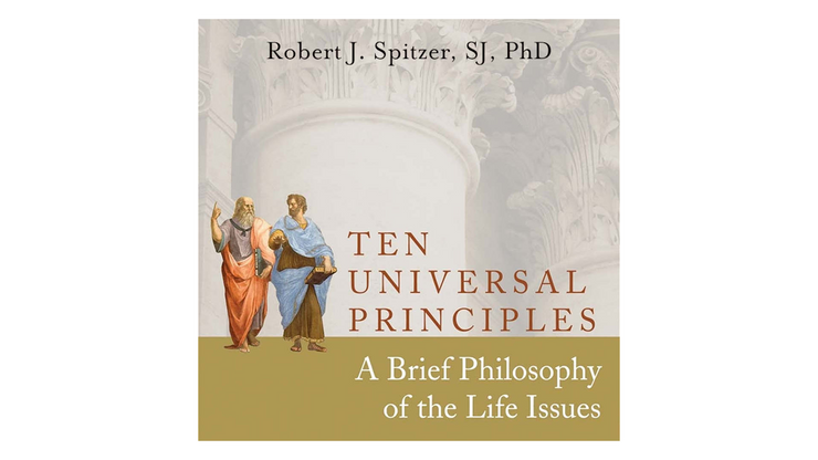 Ten Universal Principles Audiobook