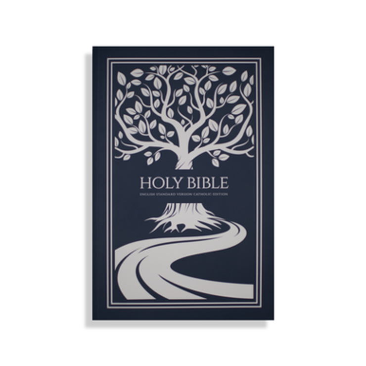 Bible - Silver Tree of Life Paperback