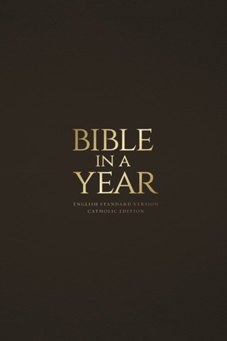 Bible in a Year - Mahogany Bonded Leather