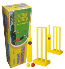 Outdoor Complete Cricket Set