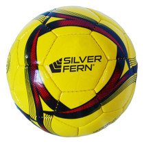 Futsal Ball - Silver Fern TPU