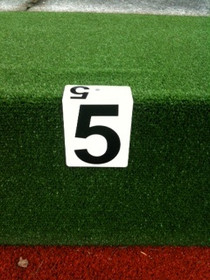 Hanging Rink Number