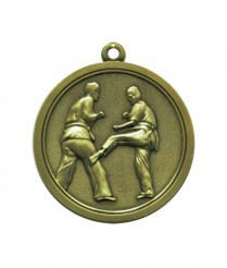 Martial Arts - Gold Relief Medal 4.5cm Dia