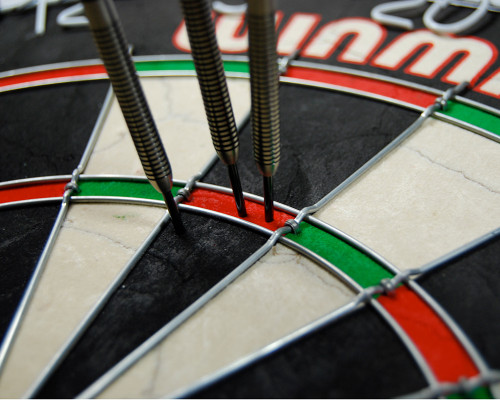Winmau Pro SFB Dartboard
