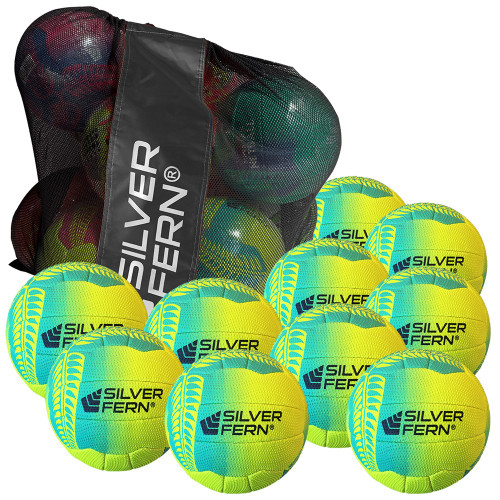Ball Pack - Silver Fern Falcon Netballs