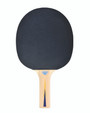 Donic Appelgren 100 Table Tennis Bat