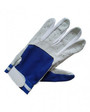 Softball Inner Glove