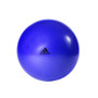 Adidas Gymball - 55cm Flash Purple