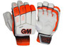 Paragon Test Gloves