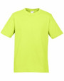 Tee - Womens Ice Cotton Shirt Multiple Colours