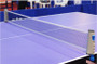 Table Tennis Net - Retractable