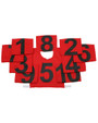 Set of Numbered Bibs 1-10 (2 side print)