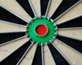 Winmau Pro SFB Dartboard