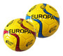 Soccer/Football - Silver Fern Europa - (Size 4)